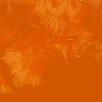 Skihelm - Fellohren - Orange